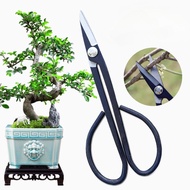 Pruning Shears Heavy Duty Garden Scissor Plant Cutter Branch Cutter Stainless Plant Scissors