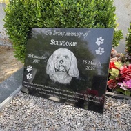 Pets Pet Monument Dog Cat 20*20*1 Cm. The Picture You Want To Send In The Chat Confirm.