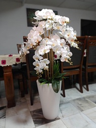 FLOOR ORCHID/GUBAHAN ORKID PREMIUM PASU BESAR TINGGI UNTUK RUMAH OFIS RAYA TERMURAH