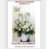 Bunga meja premium/anggrek bulan/bunga meja/ anggrek bulan premium 003