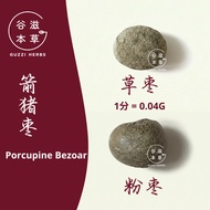 谷滋本草 Guzzi Herbs 箭猪枣 1分 粉枣 草枣 豪猪枣 Porcupine Bezoar