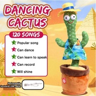 Tiktok Stuffed Toy in the Shape of a Smiling Face Cactus Swaying Plant