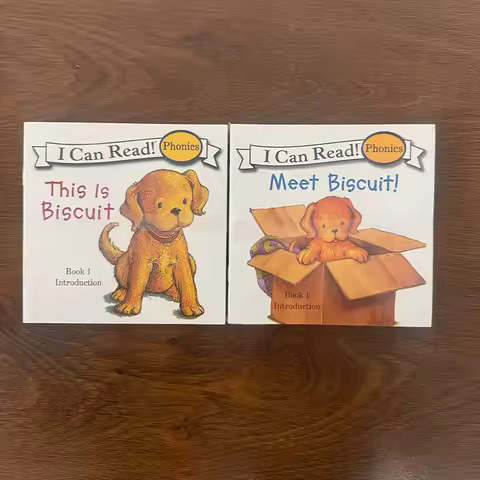 Biscuit Phonics Fun 12 Books I Can Read! Phonics Early Reader Kids English Storybook for Preschool