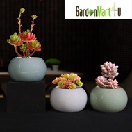 GM 4U- Asparagus Succulent Flowerpot Ceramic 文竹多肉陶瓷花盆