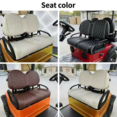 Business Preferred 2/4/6/8 Seats 4WD High-Speed 5KW 7KW Business Model, 63km/h Quiet Comfort Electri
