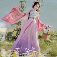 Hanfu Tang Ancient Style Dress with Elaborate Embroidery