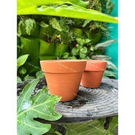 Multi-colored Terracotta Pots in Many Sizes - Cup Pots - Growing Stone Lotuses - Cactus From 3.5cm t