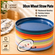 30cm Wheat Straw Plate/Pinggan Plastik/Plastic Plate/Piring Plastik/Dinner Plate/Set Pinggan Plastik