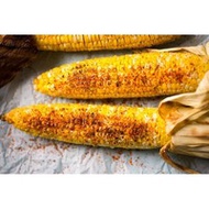 51o Culinary Mexican Tajin Chili lime Seasoning Powder Seasoning Powder 25gr