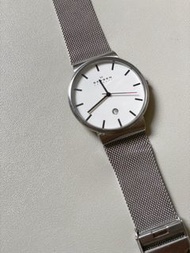 Skagen stainless steel watch 鋼帶手錶