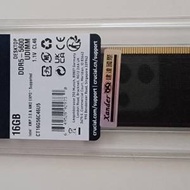 Crucial DDR5 5600 16G