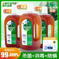 Dettol Disinfektan Antibakteria Pencuci Dobi Pembersihan Tandas Isi Rumah 750ml Pembuangan Hama Kegu