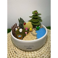 Succulent Pot-大口白陶瓷花盆Big Mouth White Ceramic Pot
