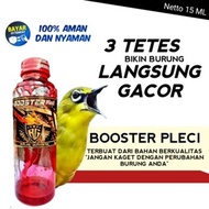 Water Pleci Raja Goyang Supplement Doping Herbal Pleci Bird Ready Gacor Gantang Contest Original 100