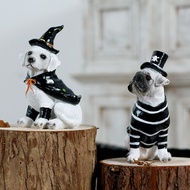 [SG Tiancheng] Pet Witch Resin Figurine, Instagram Style Halloween Decor for Pet Shops (Free Shippin