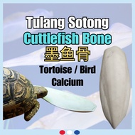 PETSEA Tulang Sotong Makanan Burung Cuttlefish Bone 墨鱼骨 Cuttlefish Sotong Tulang Sotong Katak Besar 