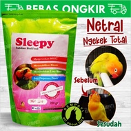 SLEEPY LOVEBIRD GOC PAKAN BURUNG LOVEBIRD