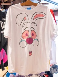 非現貨 日本代購 東迪 40周年 memory go round 迪士尼樂園 東京迪士尼 迪士尼海洋 日本迪士尼 玩具 週邊 精品 愛麗絲夢遊仙境 alice in wonderland