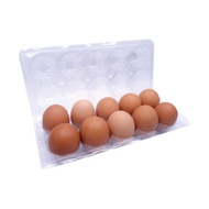 Egg A 10's-Tray Fresh Egg