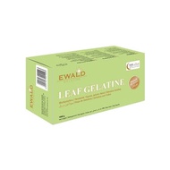 Gelatin Sheet / Gelatine Sheet