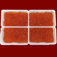 [SHCF] Premium Shoyu Ikura Salmon Roe | Big Size High Grade Frozen | Japan Import | 250g / 500g / 1k