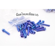 Titanium Nut Grade 5 M6 Crankcase