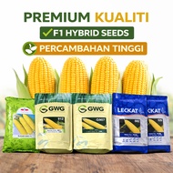 (217 F1 SUGAR KING F1 526 592 G907 912) EAST-WEST SEED/LECKAT/GWG BIJI BENIH JAGUNG MANIS 500Gram SW