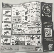 Bandai 扭蛋 The Diversity of Life on Earth 大圖鑑 獨角仙甲蟲 (1-4款) 全新  (葵興樂聲9樓門市現貨)
