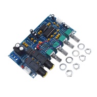 Cara OK karaoke microphone amplifier plate reverberation singing amplifier board Cara XH-M173