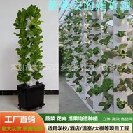 無土栽培設備陽臺種菜盆水霧立柱栽培家庭菜園有機蔬菜