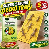 🦎 Powerful Lizard Catcher Lizard Trap Perangkap Cicak | Strong Sticky Glue Trap Lizard Glue Trap | G