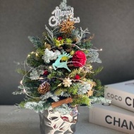 松果聖誕樹 不凋雪松耶誕樹 聖誕節禮物 交換禮物