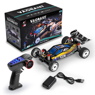 Wltoys 244016 1:24 RC Drift Car High-Speed Electric Two Wheel Drive Electric Competitive High-Speed 