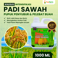 Pupuk Padi Sawah Terbaik / Pupuk Padi Sawah Terbaik / Pupuk Padi Semprot Penyubur / Pupuk Padi Peleb