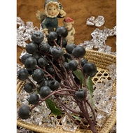 Fruit Model Fake Blueberry Bouquet Vegetable