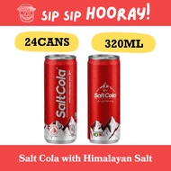 Salt Cola with Himalayan Salt (24 X 320ml)