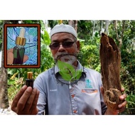 Perfume Gaharu Haruman Oud Pati Bidara