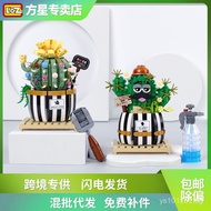 Toy loz Ornament Blocks Educational Succulent Plant Children's Potted Plant Simulation Assembly Cact
