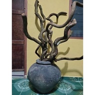 Ramadan decoration raya/ with real tree twigs vine for dried flowers. Length 90cm = 3ft Leg/