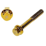 ENGINE SCREW M6X40MM SIZE BOLT 1PCS GOLD