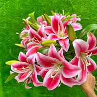 Fake lilies (54cm long branch) in vase for home decoration