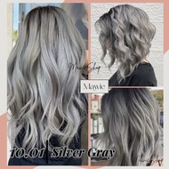 Bremod 10.01 Silver Gray Hair Color set with Oxidizer (6%, 9% or 12%)