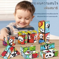 Rubik's Cube Magnetic 2x2 3D 3x3 Toys Stress Relief 3D Panda