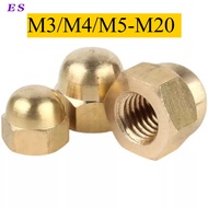 Copper Cap Type Nut Cap Nut Nut Nut Copper Nut/M3/M4/M5-M20 (XD-PH)