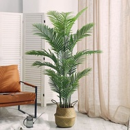 Premium Artificial Palm Tree /artificial Plant/ pokok palm tree / pokok viral