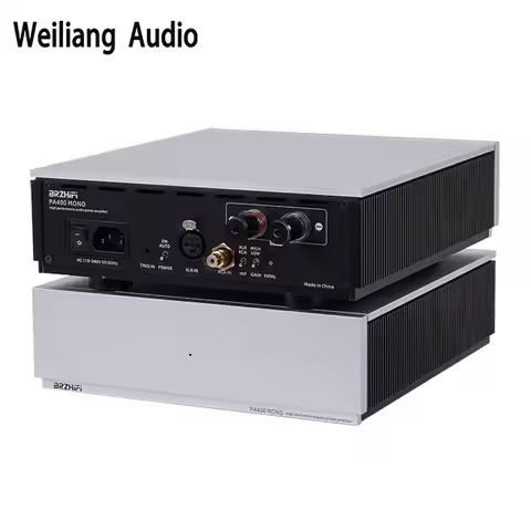 Weiliang PA400 Mono Class D Power Amplifier Hi-Fi Flagship Edition 450W purifi HYPEX
