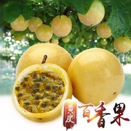 ❤️‍🔥巴拿马玫瑰黄金百香果❤️‍🔥 Panama Rose Golden Passion Fruit