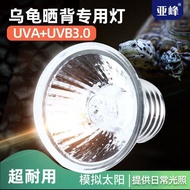 Turtle Back Bulb Turtle Light Back Bulb Turtle Light Back Bulb Turtle Light Back Bulb Three-in-One T