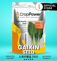 (500 GRAM) Biji Benih Sawi Jumbo Green 绿珍 CX9 CROP POWER F1 HYBRID Caixin seeds  菜心种子 CX 9