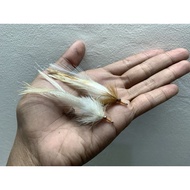 Fly Fishing Flies are suitable for nausea and seas (ONE PACK OF 3)